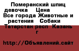 Померанский шпиц девочка  › Цена ­ 50 000 - Все города Животные и растения » Собаки   . Татарстан респ.,Казань г.